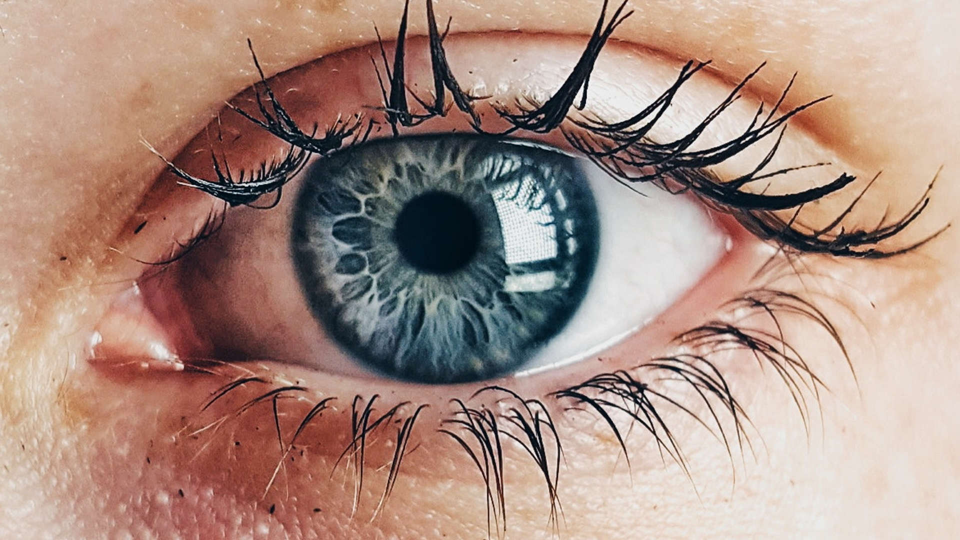 eye